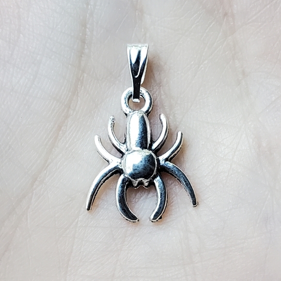 Jewelry - NWOT Silver Spider Charm